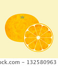 Cross-section illustration of a mandarin orange (watercolor vector) 132580963