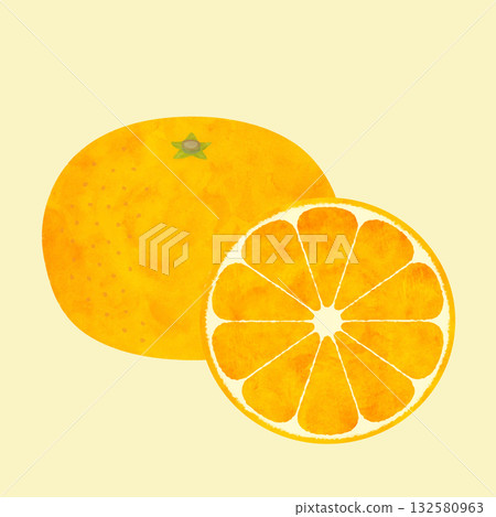 Cross-section illustration of a mandarin orange (watercolor vector) 132580963