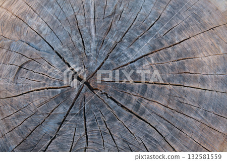 natural old wooden texture close-up natural old wooden texture close-up 132581559