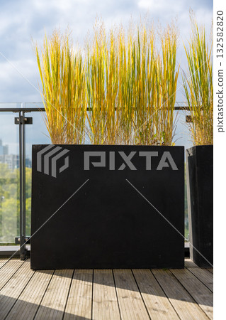 Autumn ornamental grass in modern black planter on terrace Autumn ornamental grass in modern black planter on terrace 132582820