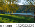 Spring lakeshore with birch trees and green grass in Czech countryside 132582825