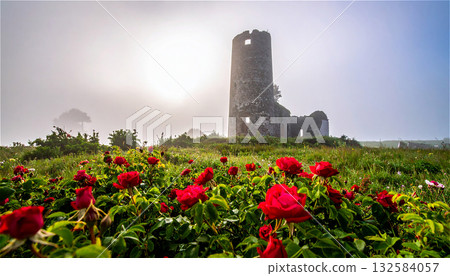 霧氣瀰漫的草地上盛開著鮮紅的玫瑰,一座古老的石塔遺址聳立在山丘上。 霧氣瀰漫的草地上盛開著鮮紅的玫瑰,一座古老的石塔遺址聳立在山丘上。 132584057