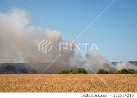 Burning trash dump near agricultural field in the countryside. Field of ripe rye with a background of smoke Burning trash dump near agricultural field in the countryside. Field of ripe rye with a background of smoke 132584216