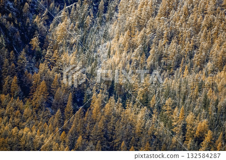 Autumn forest background, aerial view. Autumn forest background, aerial view. 132584287