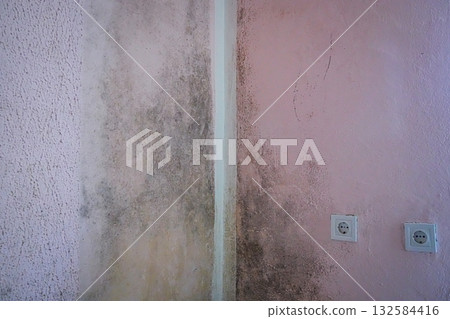 Mold and mildew spreading in the corner of a wall near an electrical socket. Highlights moisture damage, damp interior, and unhealthy home conditions. 132584416