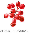 Red holly berries. Watercolor isolated illustration for decoration. Christmas card decor. 132584655