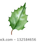 Holly leaf with thorns. Watercolor isolated illustration for decoration. Christmas card decor. 132584656