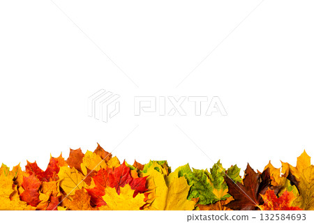 Colorful autumn leaves on a transparent background forming a natural border. Ideal for digital collages and seasonal artwork. 132584693