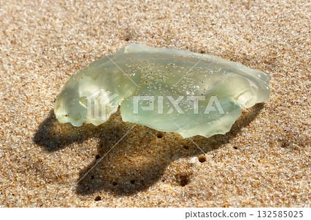 Jellyfish on the beach, close-up of a jellyfish 132585025