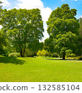 Tall trees and green bright green grass in meadow in beautiful park. 132585104