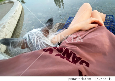 Girl lying on park bench with Chinese Crested Dog, relaxing outdoor lifestyle moment 132585210