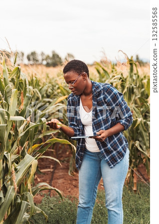 Young female african farmer inspecting corn crops in field using digital tablet 132585568