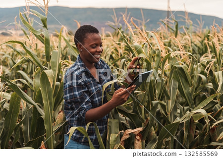 African american female farmer using digital tablet in corn field 132585569