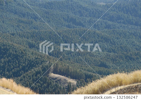 A mountainside landscape with lush trees A mountainside landscape with lush trees 132586247