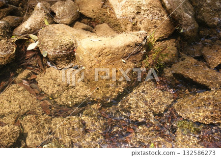 岩石上殘留著清澈見底的潮間帶水窪，構成了一幅美麗的景觀。 132586273