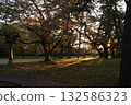 寺廟庭院景色優美,秋葉斑駁,晨光透過樹葉灑下斑駁的光影。 寺廟庭院景色優美,秋葉斑駁,晨光透過樹葉灑下斑駁的光影。 132586323