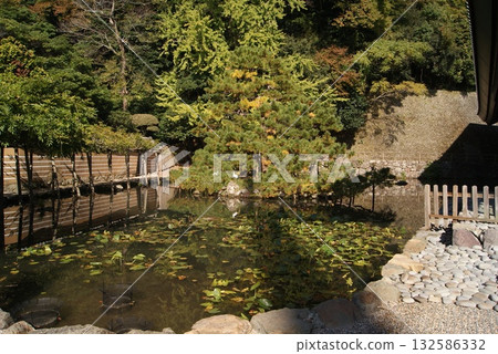 睡蓮葉片在水面上搖曳 睡蓮葉片在水面上搖曳 132586332