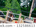 Elementary school playground on a bright day. in playground differs wooden boxes High quality photo 132586613