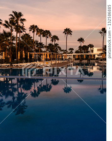 Palm trees and sun loungers 132586885