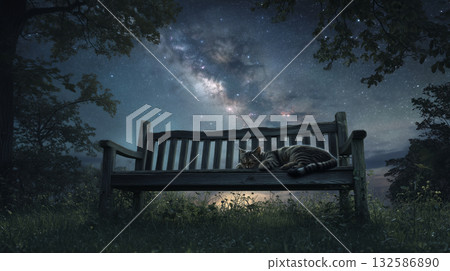 貓咪在星空下睡覺 132586890
