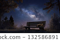 星空下的長椅和熟睡的貓 132586891