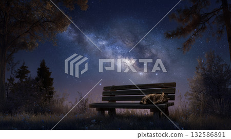 星空下的長椅和熟睡的貓 132586891