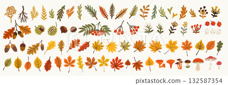 Autumn vector sticker set with cute seasonal elements, fall leaves, acorns, mushrooms, berries, and branches. Cozy handdrawn illustration in warm orange, yellow, and green tones. Autumn vector sticker set with cute seasonal elements, fall leaves, acorns, mushrooms, berries, and branches. Cozy handdrawn illustration in warm orange, yellow, and green tones. 132587354