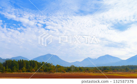 小田代原的女主人與秋草 “小田代原的女主人” 132587376