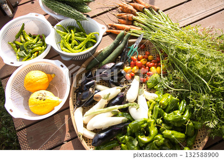 新鮮採摘的夏季蔬菜 132588900