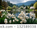Serene Spring Garden with White Daffodils in Foreground by a Calm Lake Surrounded by Blooming Trees Hills and Mountains Under a Cloudy Sky, Picturesque Seasonal Landscape Scene 132589338