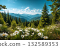 Blooming Alpine Meadow with White Daisies and Majestic Mountain View in Summer Light 132589353