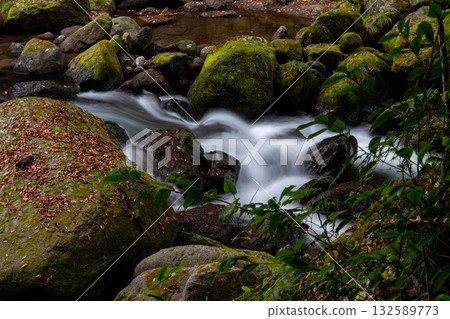 Autumn leaves and clear stream Autumn leaves and clear stream 132589773