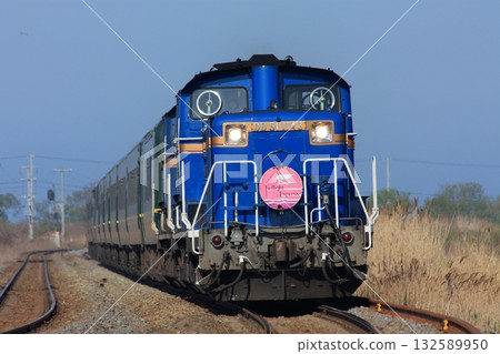 Twilight Express 132589950