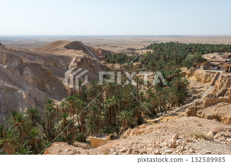 Scenic view of Chebika oasis, in Tunisia 132589985