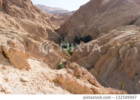 Beautiful eroded hills at Chebika canyon with palm trees. Tunisia 132589987