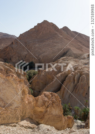Beautiful eroded hills at Chebika canyon with palm trees. Tunisia Beautiful eroded hills at Chebika canyon with palm trees. Tunisia 132589988