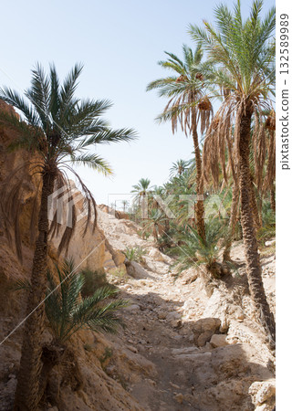 Dirty road at Chebika oasis. Tunisia 132589989