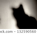 Shadow Cat 132590560