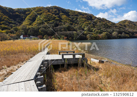 Autumn on Mount Haruna: Lakeside boardwalk 132590612