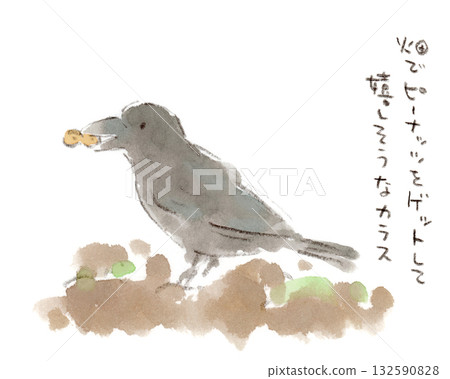 一幅水彩插畫,描繪了一隻烏鴉快樂地叼著一顆遺落在秋日田野裡的花生。 一幅水彩插畫,描繪了一隻烏鴉快樂地叼著一顆遺落在秋日田野裡的花生。 132590828