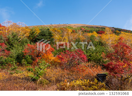 Autumnal color of Azuma Kofuji from the Issaikyo mountain trail Autumnal color of Azuma Kofuji from the Issaikyo mountain trail 132591068