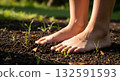 Barefoot person standing on rich dark soil with new green sprouts. Barefoot person standing on rich dark soil with new green sprouts. 132591593