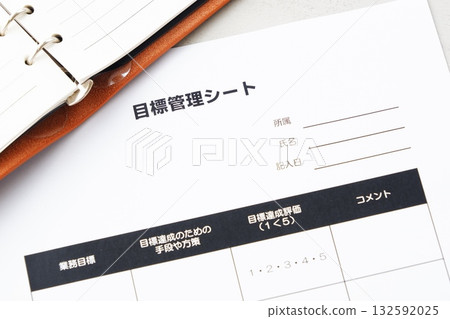 Goal Tracking Sheet - A tool for clearly defining individual and team goals and tracking progress 132592025