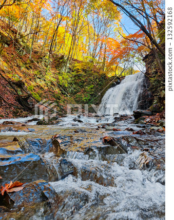 Asama Falls (Autumn) 132592168