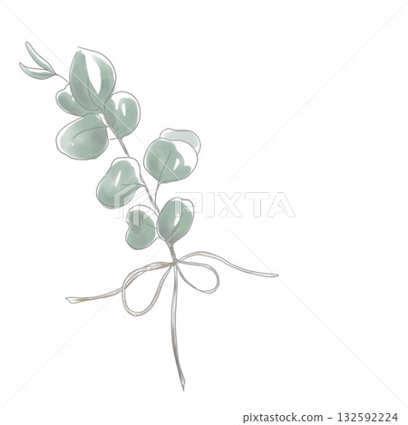 Simple watercolor eucalyptus illustration Simple watercolor eucalyptus illustration 132592224