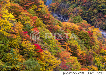 岩手縣遠野市仙人峠的秋葉 岩手縣遠野市仙人峠的秋葉 132592290