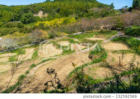 靜岡縣菊川市千賀町梯田 靜岡縣菊川市千賀町梯田 132592569