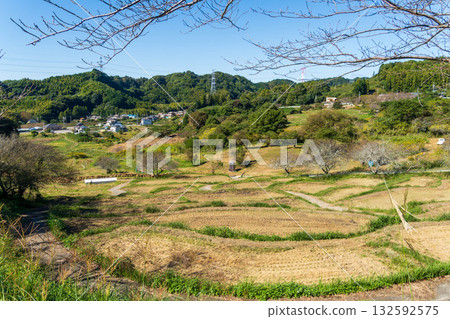 靜岡縣菊川市千賀町梯田 靜岡縣菊川市千賀町梯田 132592575