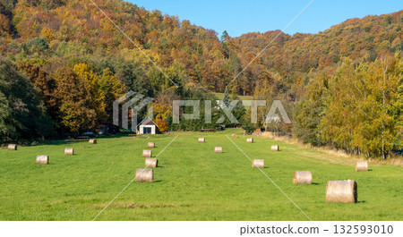 Autumn countryside landscape with hay bales on a green field. Scenic rural view with small barn, trees in fall colors, and blue sky on a sunny day. 132593010