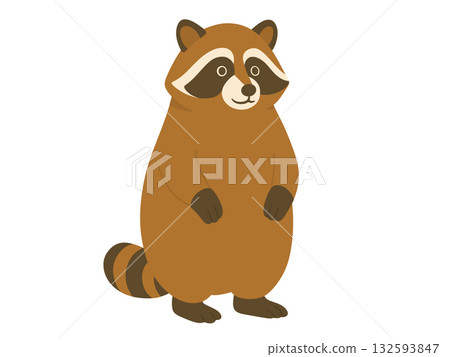 浣熊的例證 浣熊的例證 132593847